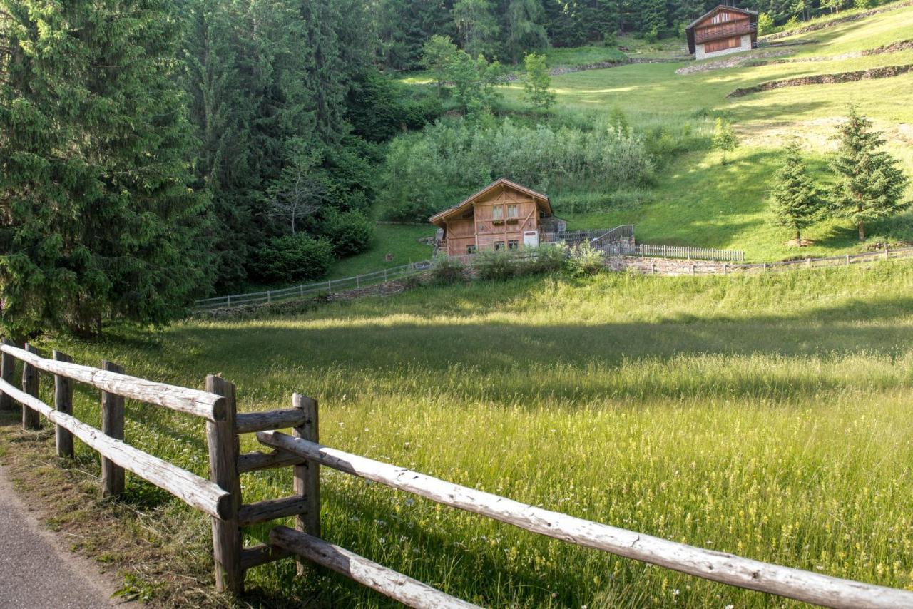 Vila Chalet Bambi Rabbi Exteriér fotografie