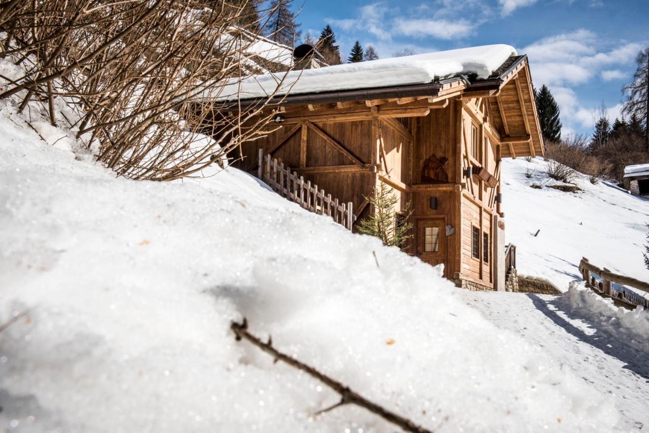 Vila Chalet Bambi Rabbi Exteriér fotografie